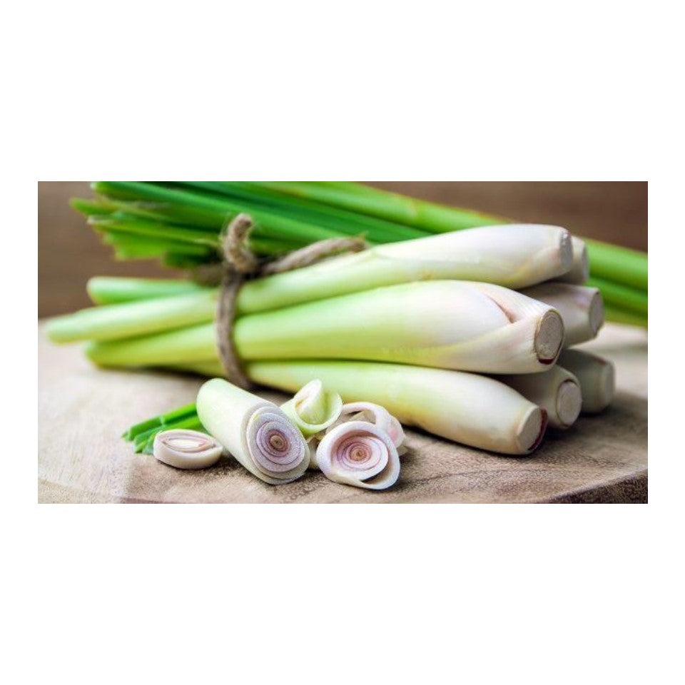 ST.MORIZT Lemongrass plant extract body shampoo Body Shampoo 750ml, remove bad luck and increase your fortune, refreshing & lasting aroma body shampoo for you and your family with amazing effect, shop24.sg