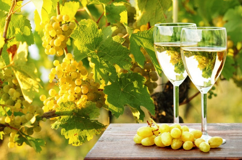 SHOP24 MEDINET BLANC 1000ml White Wine High quality grapes from France, 11% alcohol