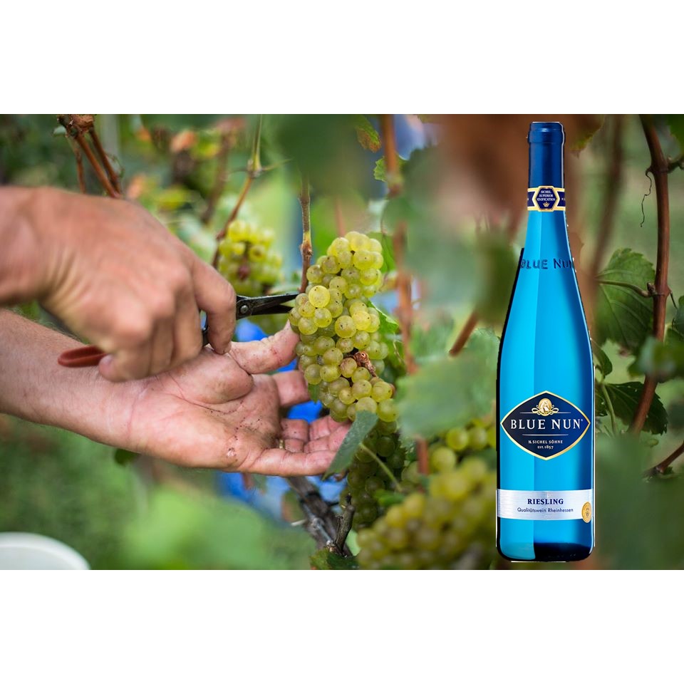SHOP24 BLUE NUN Riesling White wine is one of the world’s oldest German wine brands 10.5% Alc