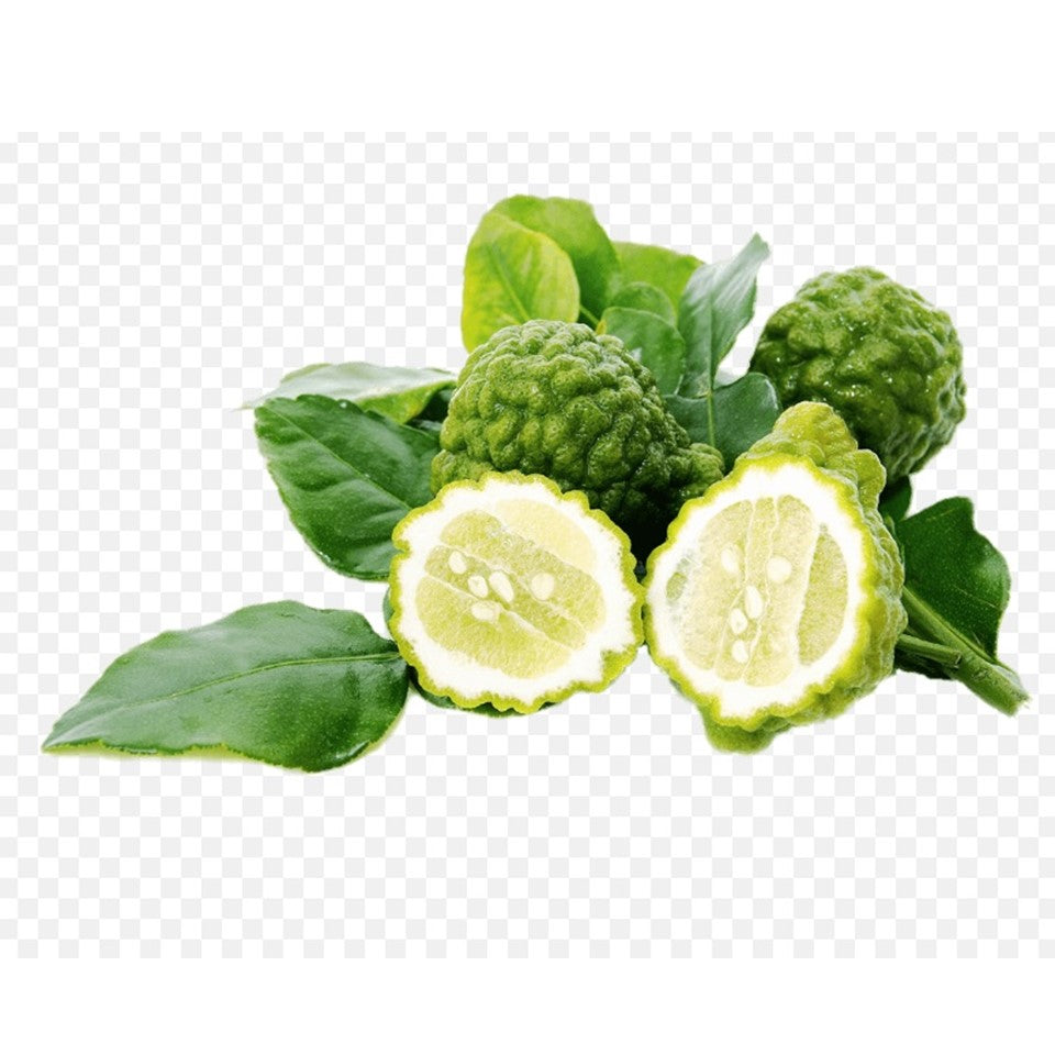 ST.MORIZT Kaffir Lime body shampoo 750ml, remove bad luck and increase your fortune, refreshing and lasting aroma with amazing effect for you and your family members shop24.sg
