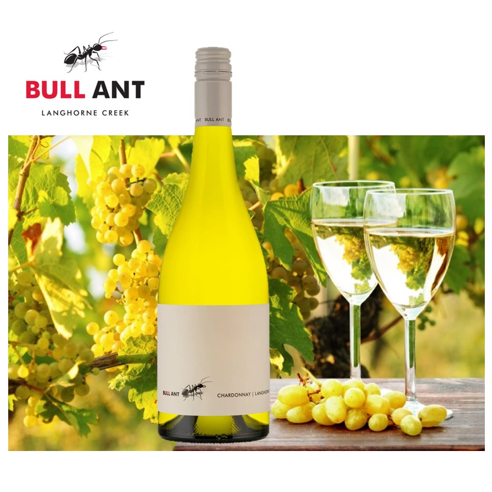 SHOP24 Bull Ant Chardonnay Lake Breeze Bullant Chardonnay from Australia fresh and vibrant palate with flavours of melon and long dry finish Abv 13%