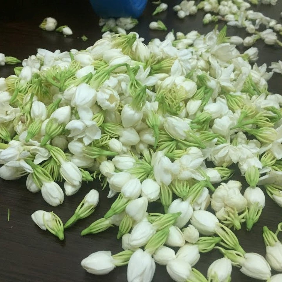 ST.MORIZT Jasmine plant extract body shampoo 750ml, increase your fortune and promote popularity, refreshing & lasting aroma body shampoo for you and your family members. shop24.sg