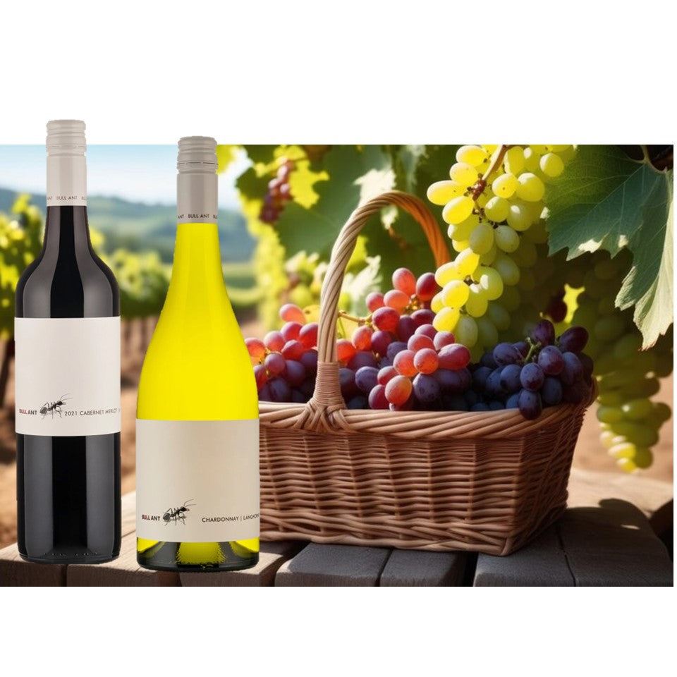SHOP24 Bull Ant Merlot Lake Breeze Bullant Cabernet Merlot(2 bottles) from Australia famous old vines wine district smooth and offers a lovely soft finish with polished tannins Abv 14%